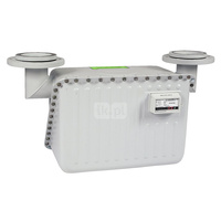 Gazomierz miechowy G 65 - z nadajnikiem impulsów, Itron