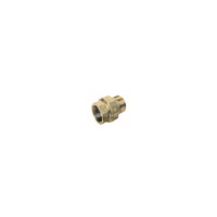 Śrubunek - uszczelka IBP 8126 G, 1'' (GW x GZ)