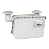 Gazomierz miechowy G 40 - z nadajnikiem impulsów, Intergaz