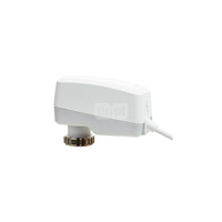 Siłowniki TA-SLIDER 160 I/O, 24 VAC/DC, 0(2)-10 VDC, 5m