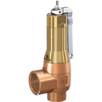 Zawór bezpieczeństwa DSV DGF 25-3.5