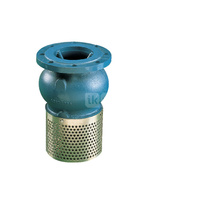 Kosz ssawny kołnierzowy, stal nierdzewna, zamknięcie grzybkowe wspomagane sprężyną, Pnom 1,0 MPa, typ 302, DN 150, PN10