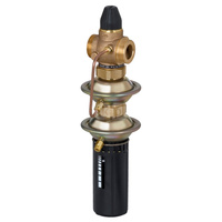 Regulator różnicy ciśnień z ograniczeniem przepływu AVPQ PN16 25/8 02-10/02 gw. pow.