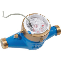 BWT Wodomierz kontaktowy DHM1000 2" DN50