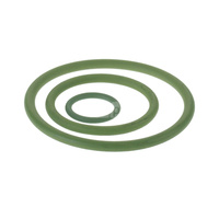 O-Ring FPM Viton Steel/Inox - 168.3