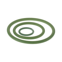 O-Ring FPM/Viton Steel/Inox - 66.7