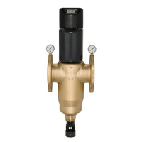 BWT MULTIPUR 65 AP - filtr z automatycznym płukaniem przeciwprądowym (100 µm)